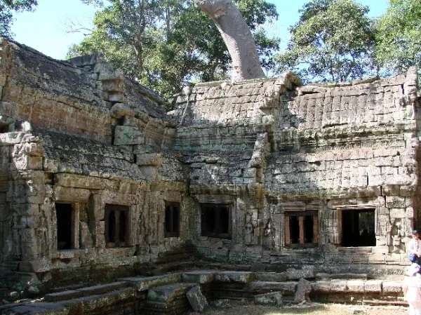 Temple of Ta Prohm, Angkor, 2007