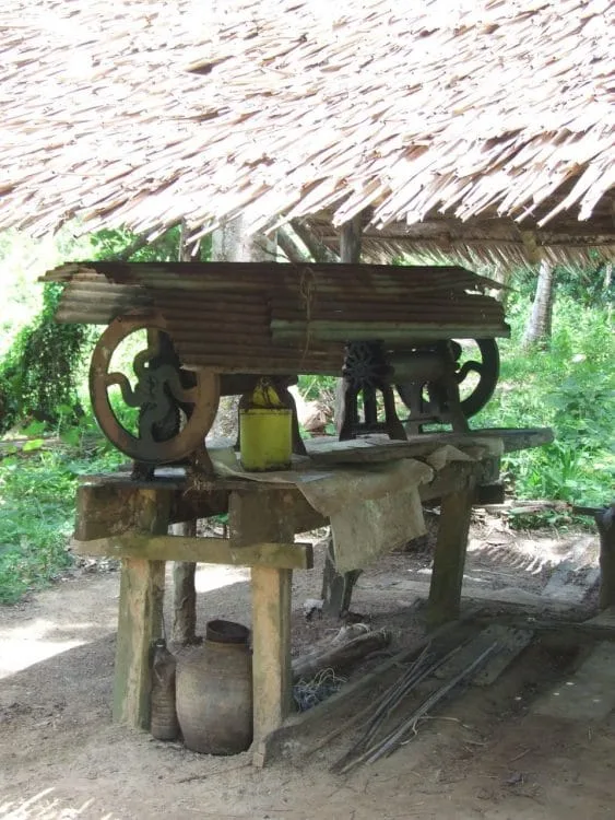 coconut grove koh chang island - ranong - thailand