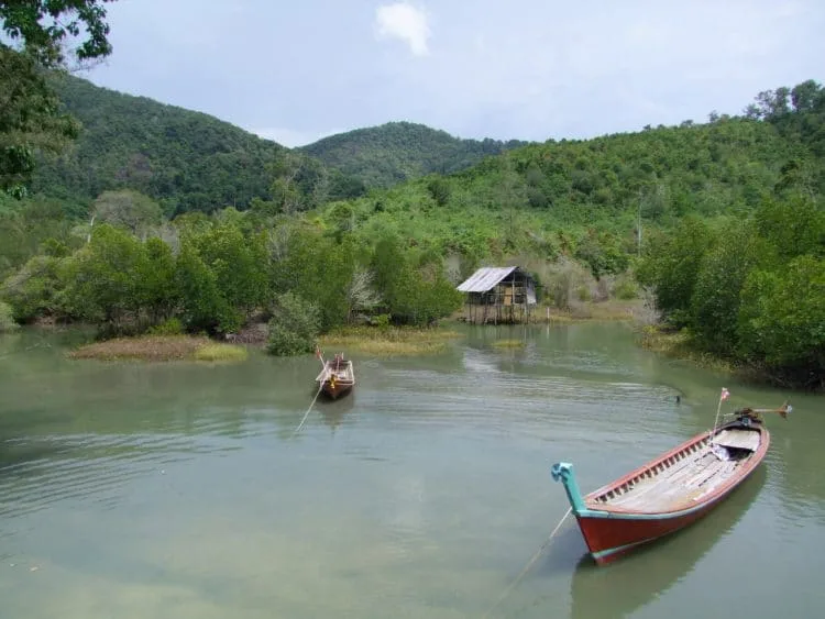 mangrove island koh chang - ranong - thailand