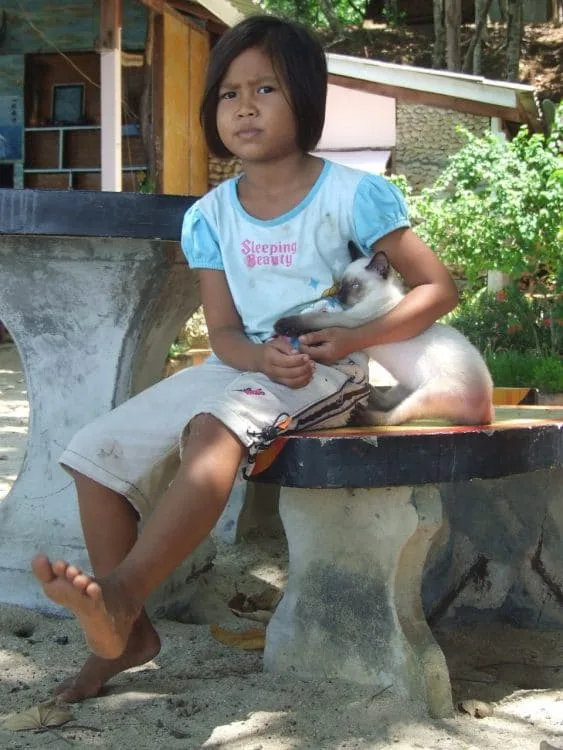 little girl and cat koh chang - ranong - thailand