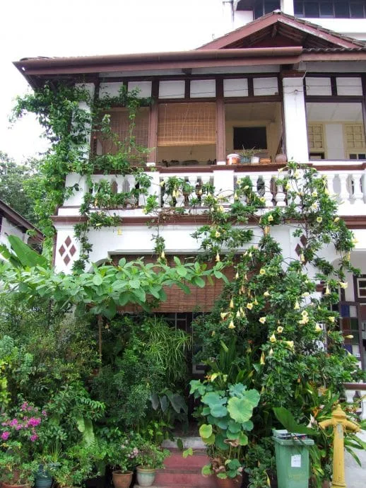 flower facade lorong bangkok penang malaysia