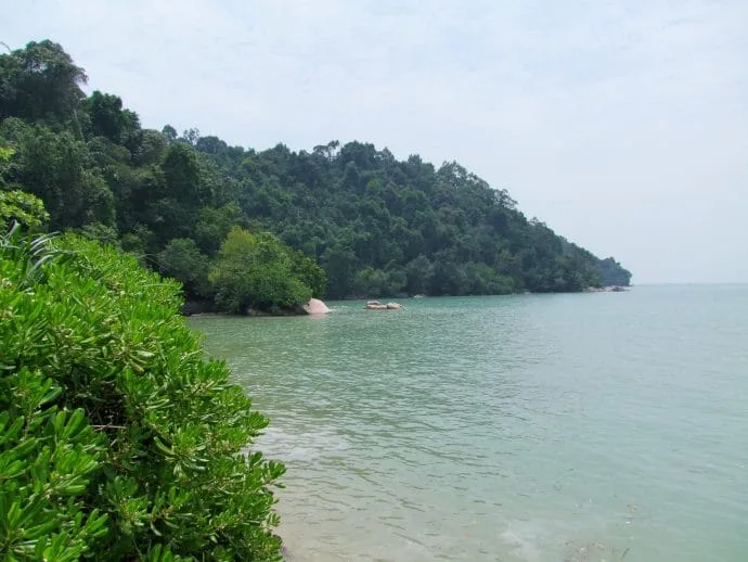 penang national park malaysia