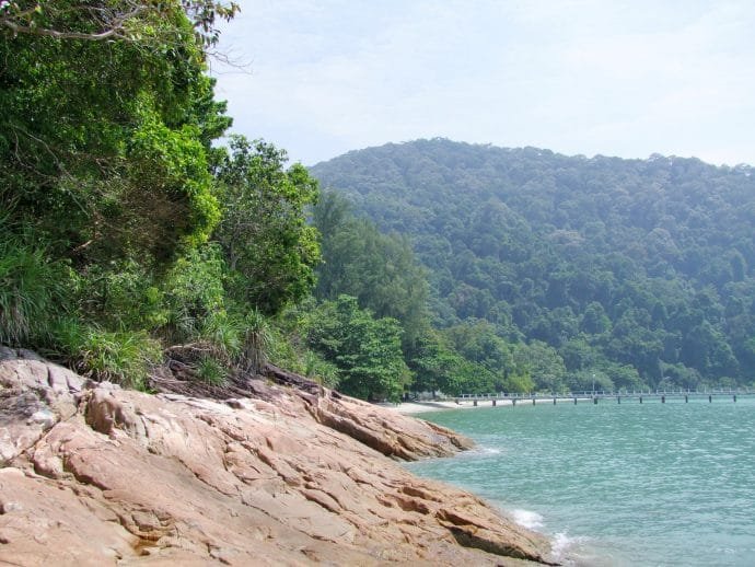 plage centre etude marine parc national penang