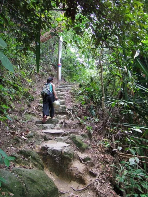 penang national park malaysia trail