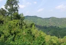 on the way to dalat