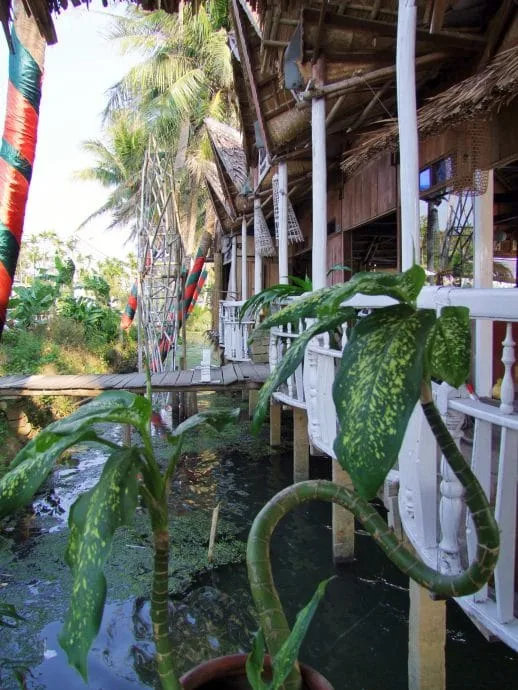 near hoi an - vietnam