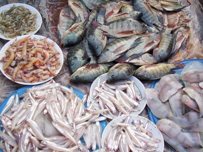 hoi an market - vietnam