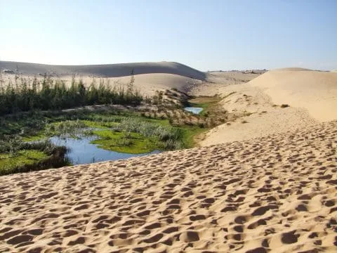 mui ne - view of the white dunes - vietnam