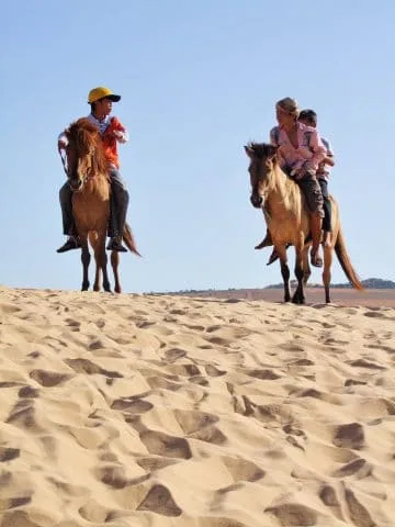 mui ne - horses on white dunes - vietnam