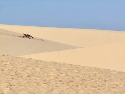 mui ne - forme dunes blanches - vietnam