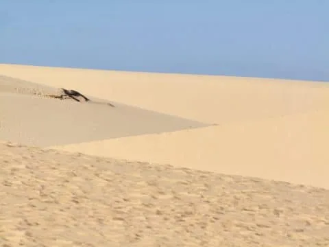 mui ne - white dunes shape - vietnam