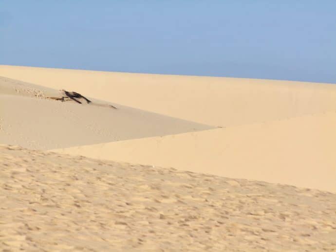 mui ne - forme dunes blanches - vietnam