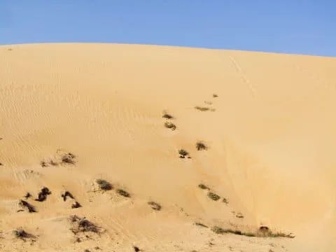 mui ne - deserted dune - vietnam