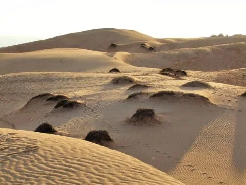 mui ne - sunset red dunes - vietnam