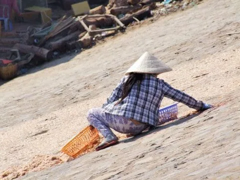drying fish port mui ne vietnam