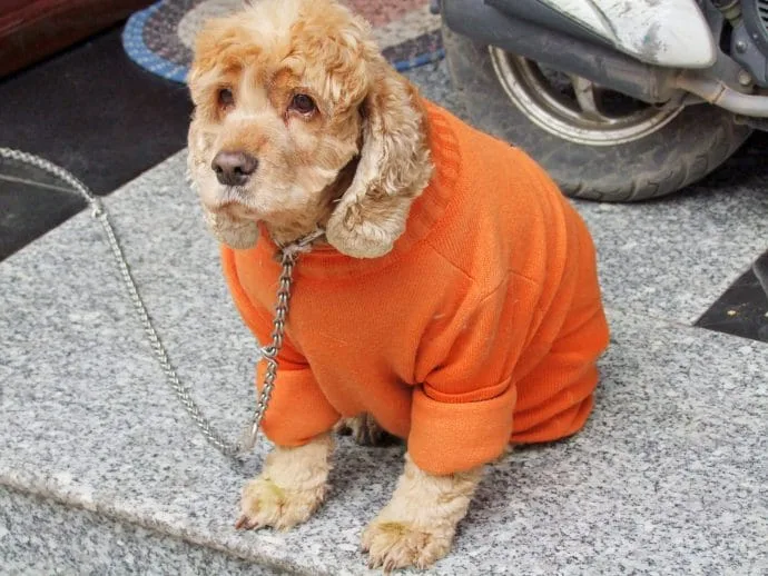 hanoi street - vietnam 2010