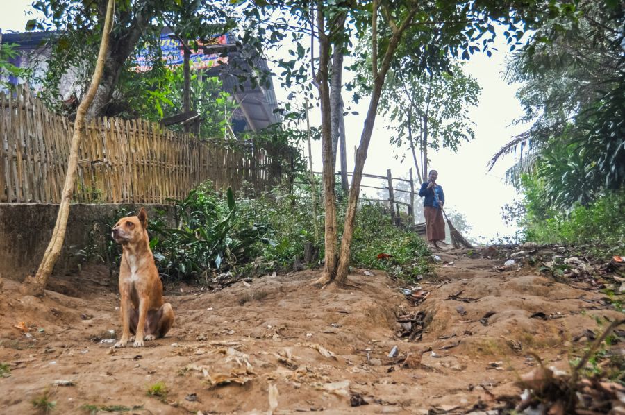 Chien assis près d’une femme balayant un chemin boisé