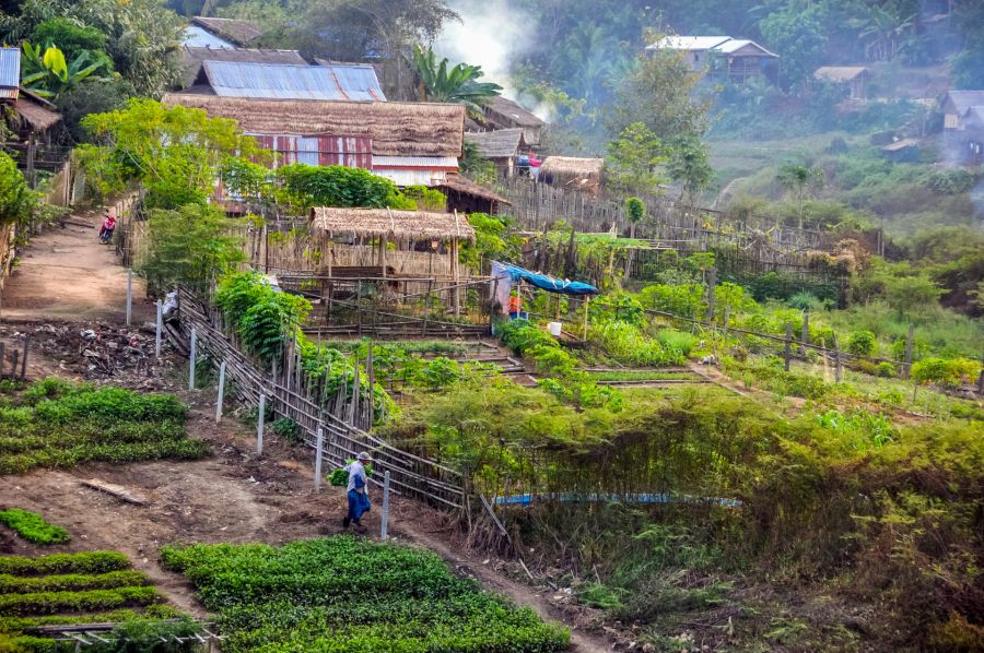 Village rural luxuriant avec potagers, maisons en bambou et fumée