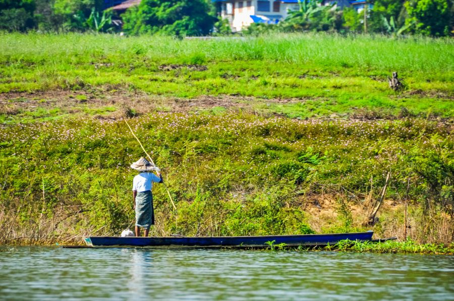 Pêcheur debout dans une pirogue près d’une rive verdoyante