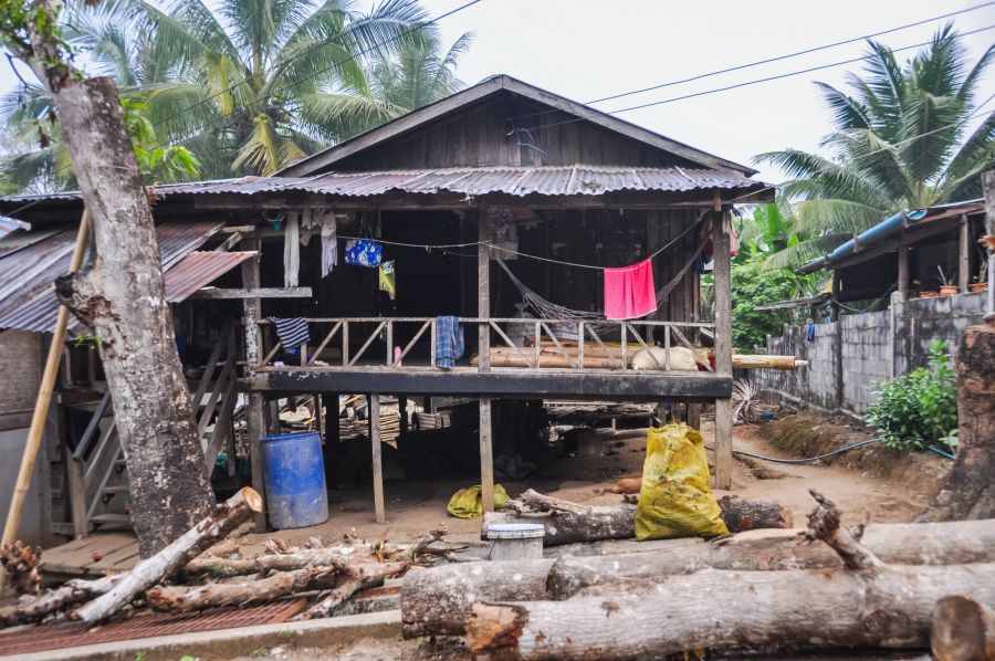 Maison sur pilotis en bois entourée de palmiers