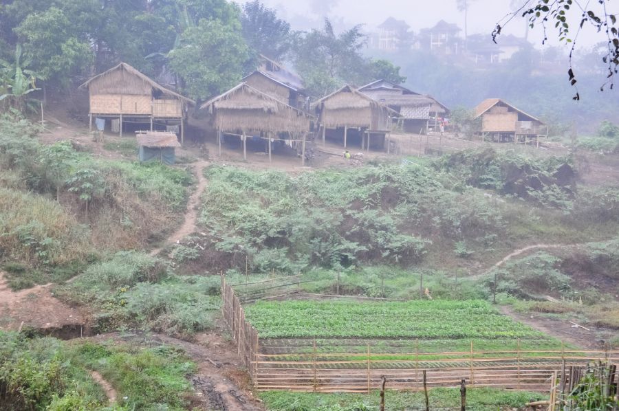 Village rural brumeux avec maisons sur pilotis et potager