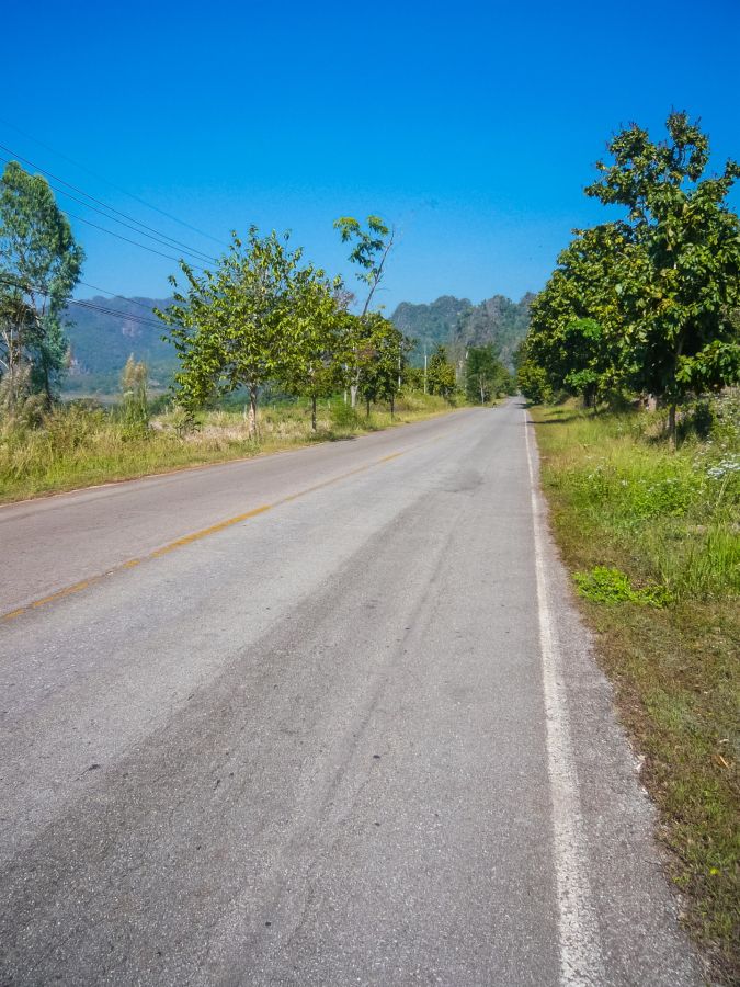 Route rurale bordée d’arbres devant des montagnes verdoyantes