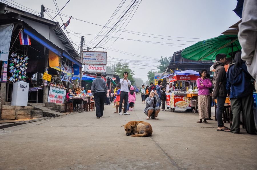 Marché de rue thaïlandais animé avec chien couché au sol