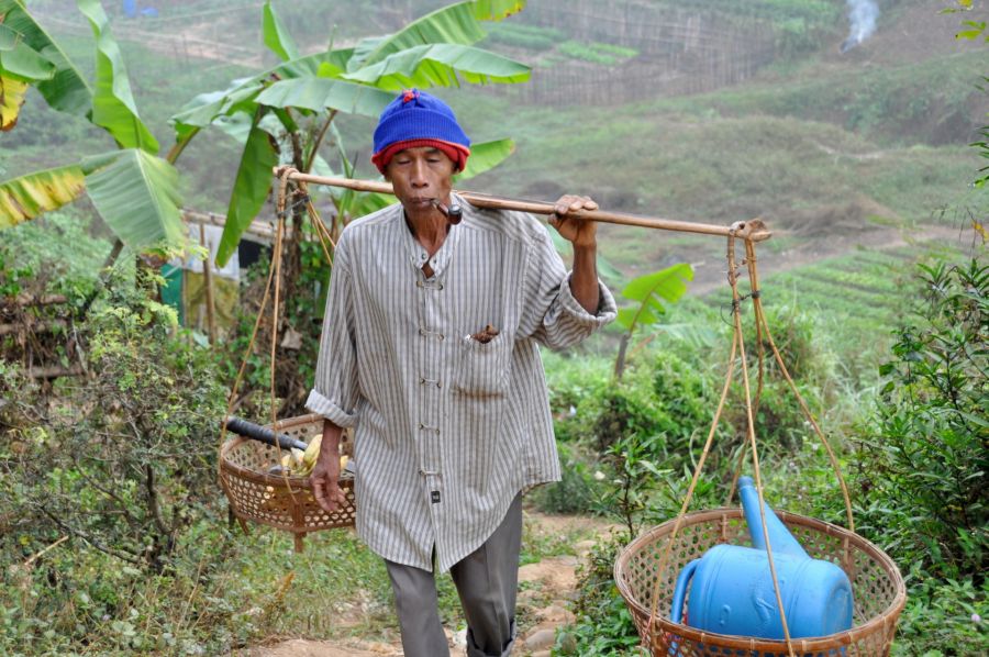 Agriculteur portant des paniers dans une plantation de bananiers