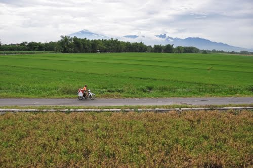 cover java depart indonesie