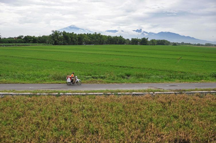 cover java depart indonesie