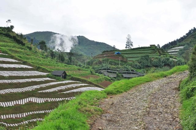 cover balade dieng plateau