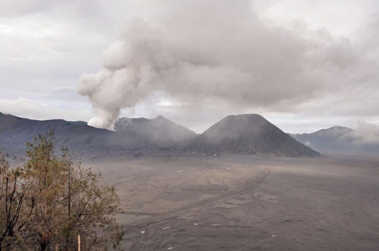 cover java mont bromo 11e jour