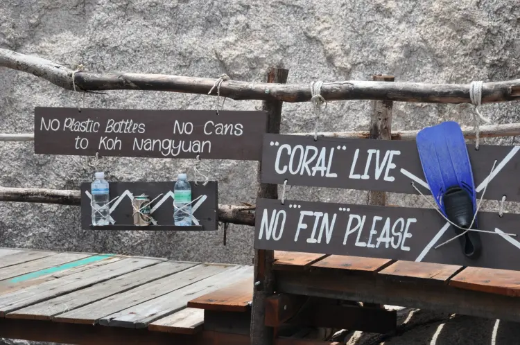 attention corals ko nang yuan - ko tao - thailand