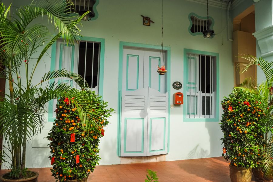 Façade turquoise avec porte blanche, plantes et agrumes en pots