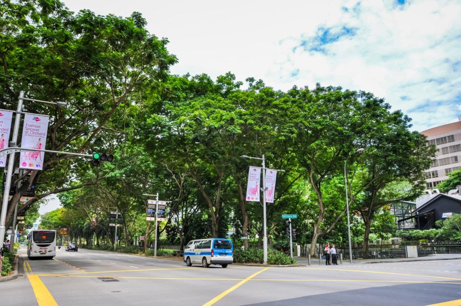 Rue Killiney bordée d’arbres, bus et véhicules à Singapour