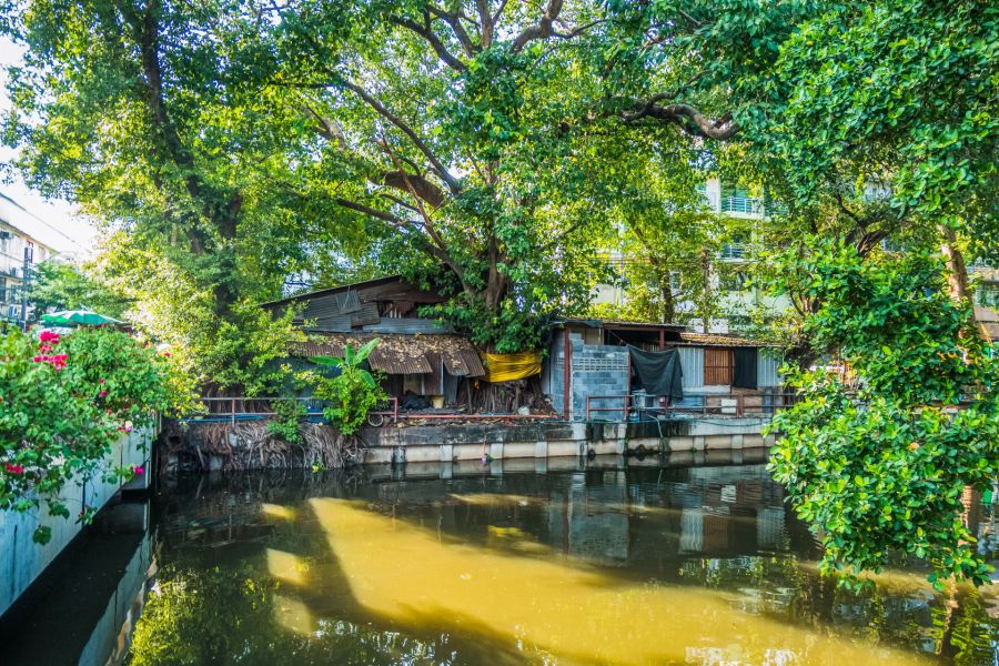 Maisons modestes au bord d’un canal sous de grands arbres