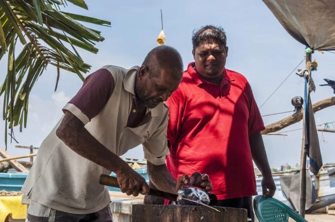 bonavista bay - galle - sri lanka