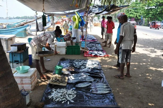 bonavista bay - galle - sri lanka