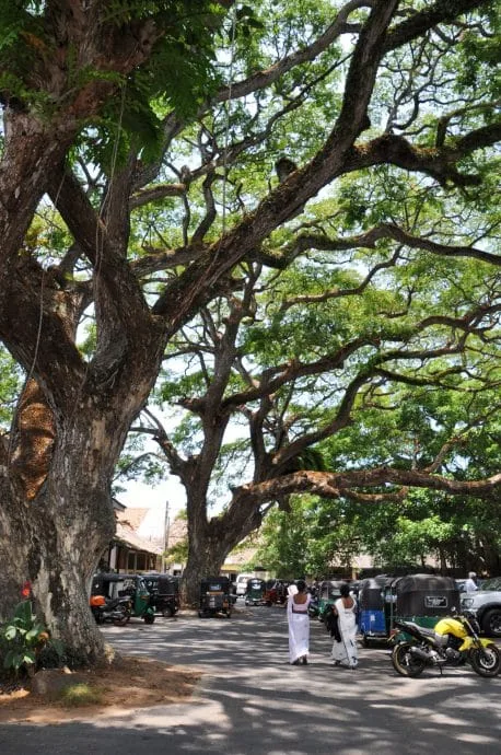 galle harbor master's office - sri lanka