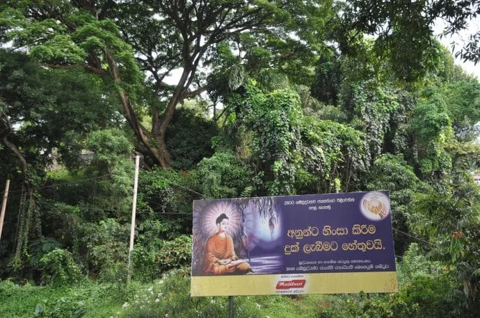 around kandy lake - sri lanka
