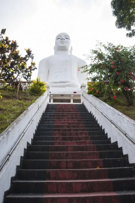 stairs to white boudha - kandy - sri lanka