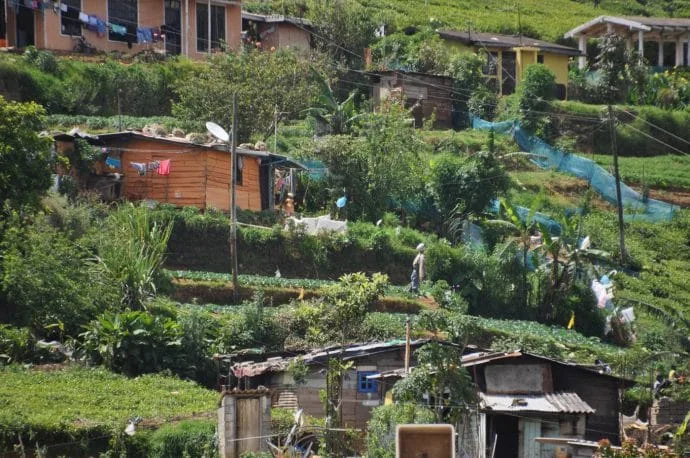 tea picker dwellings - nuwara eliya - sri lanka