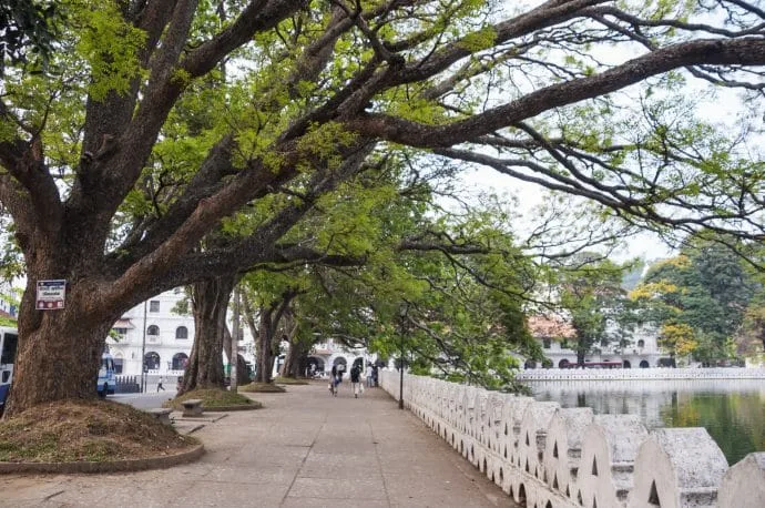 kandy lake - sri lanka