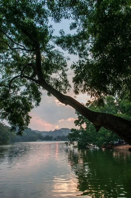kandy lake - sri lanka