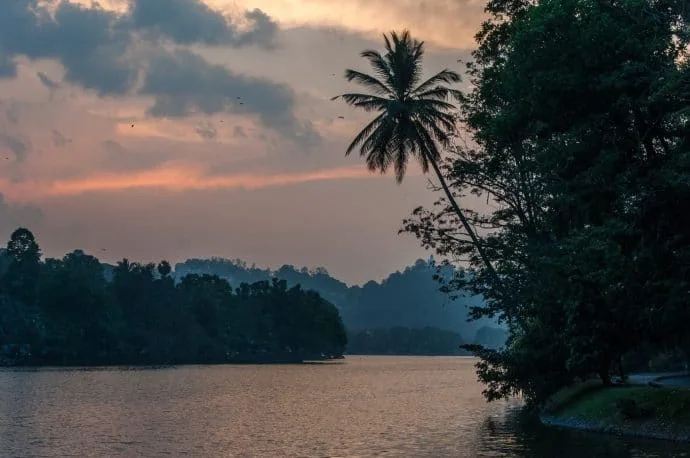 kandy lake - sri lanka