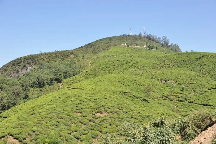 nuwara eliya - sri lanka