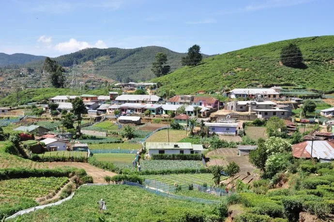 nuwara eliya - sri lanka