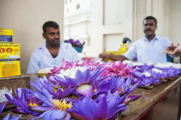 temple of the tooth - kandy - sri lanka