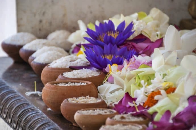 arbre bodhi - anuradhapura - sri lanka