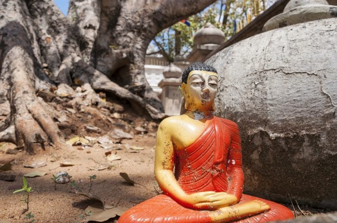 arbre bodhi - anuradhapura - sri lanka